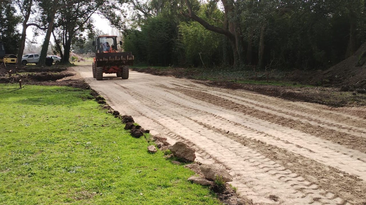 Barrio Felicitas Domselaar