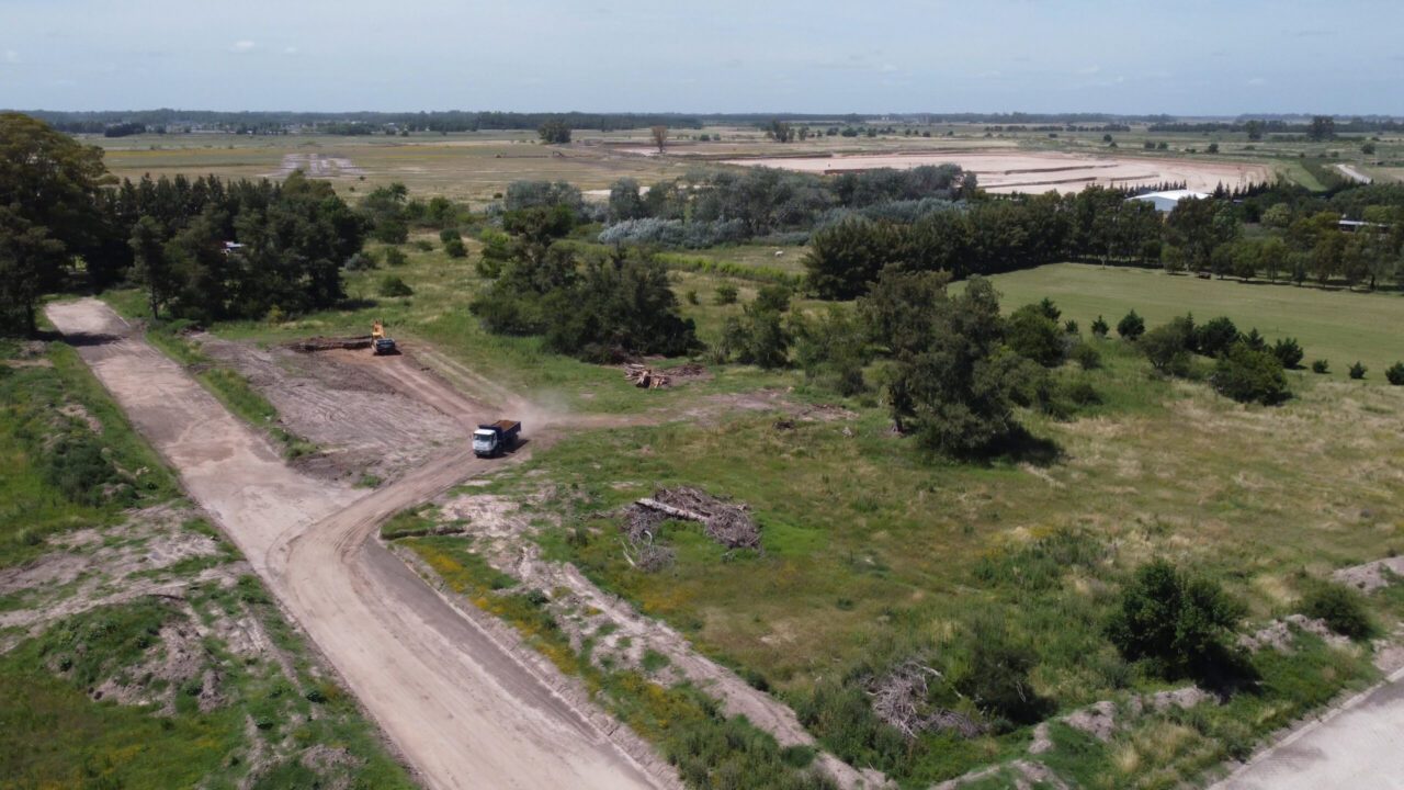 Barrio Felicitas Domselaar
