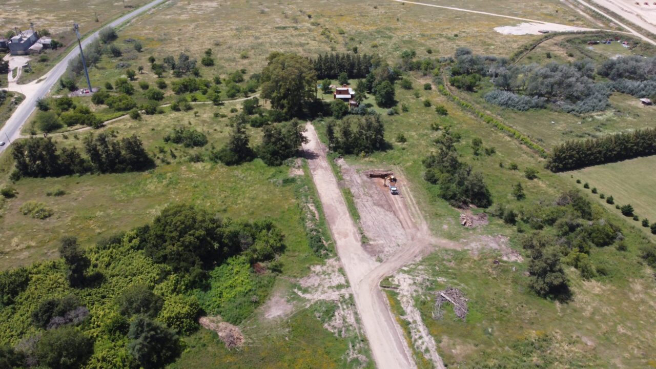 Barrio Felicitas Domselaar