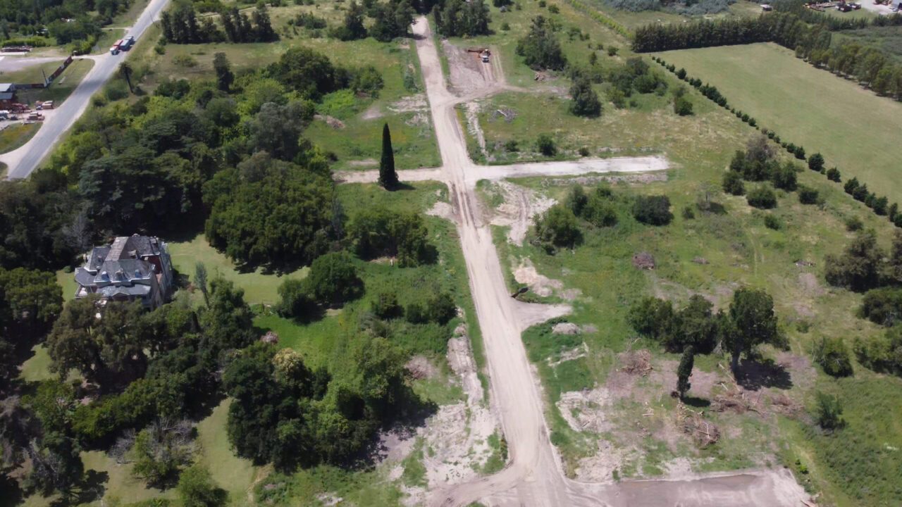 Barrio Felicitas Domselaar