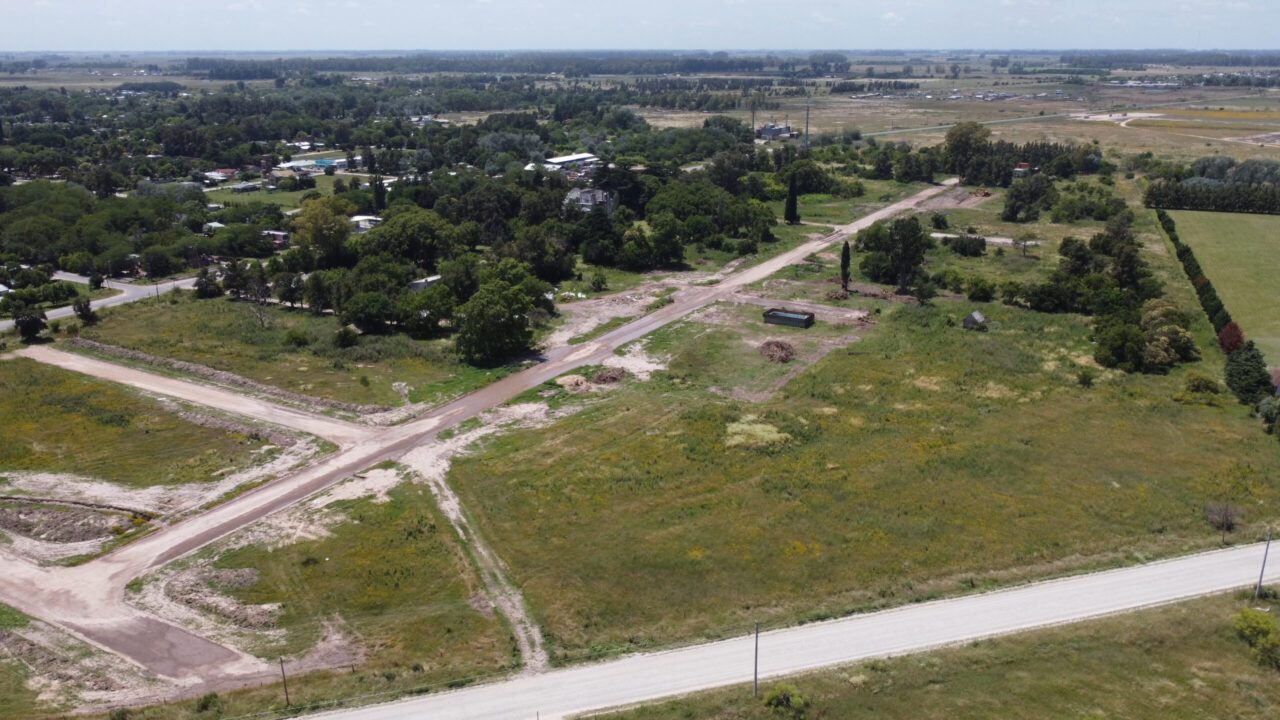 Barrio Felicitas Domselaar