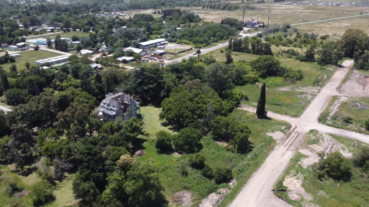 Barrio Felicitas Domselaar