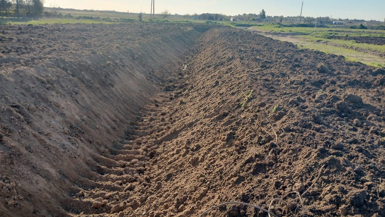 Barrio Felicitas Domselaar