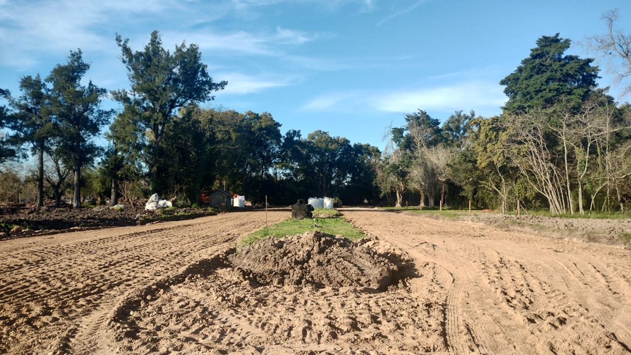 Barrio Felicitas Domselaar