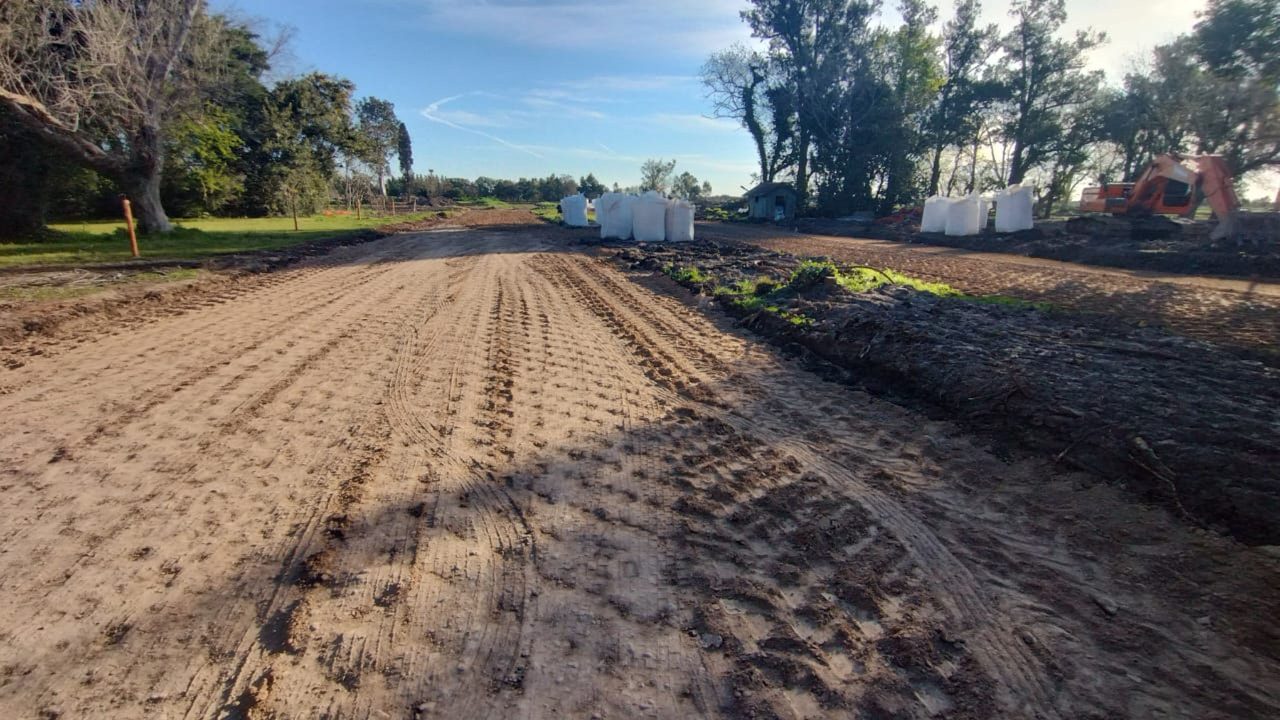 Barrio Felicitas Domselaar