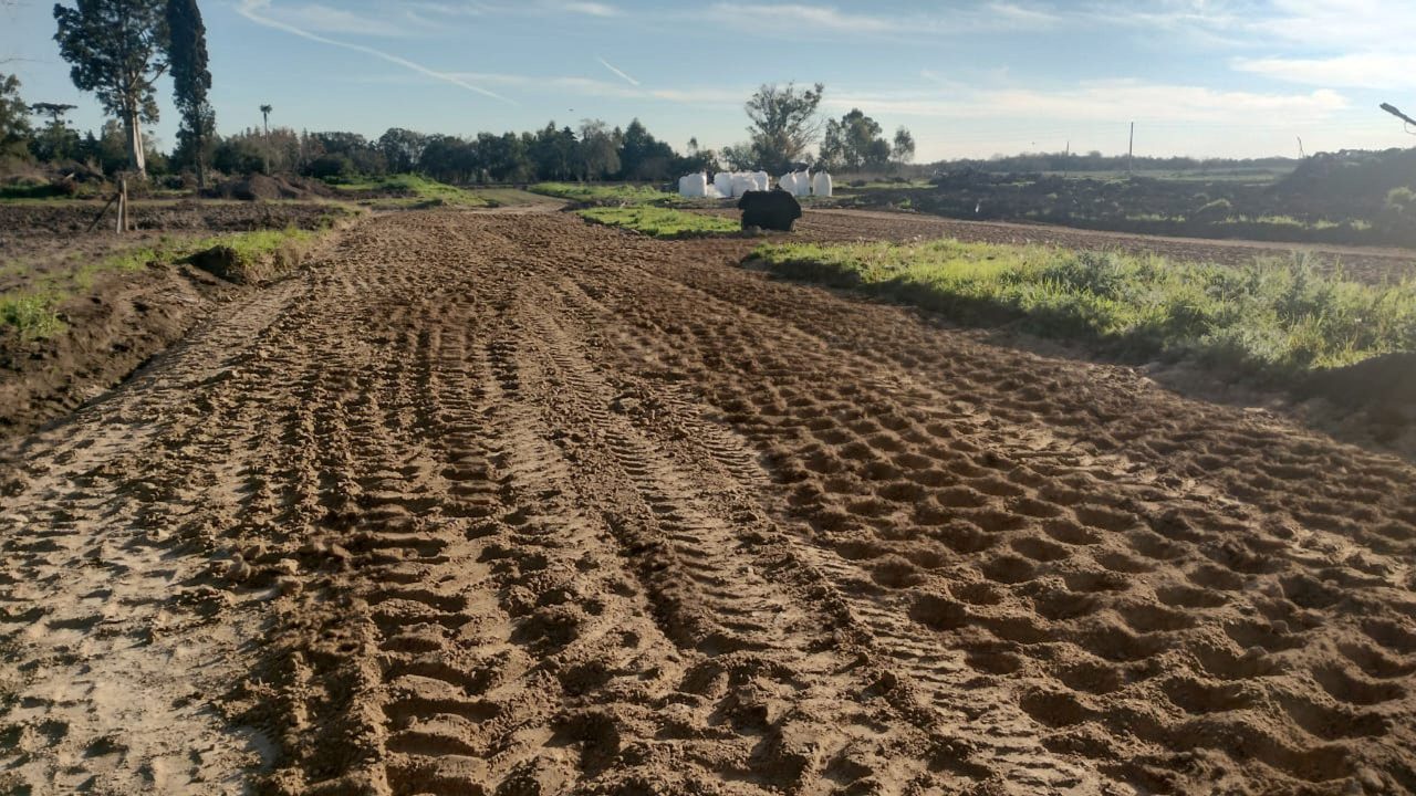 Barrio Felicitas Domselaar