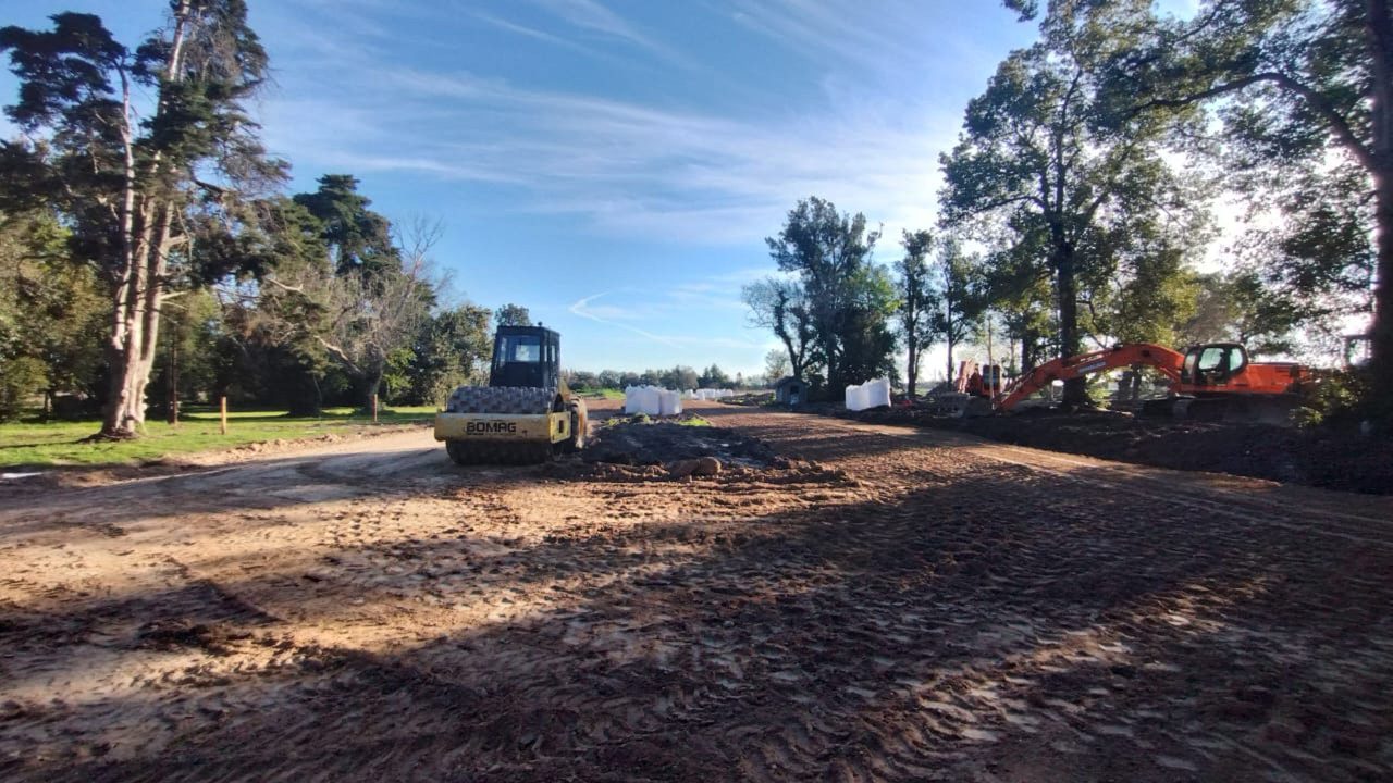 Barrio Felicitas Domselaar