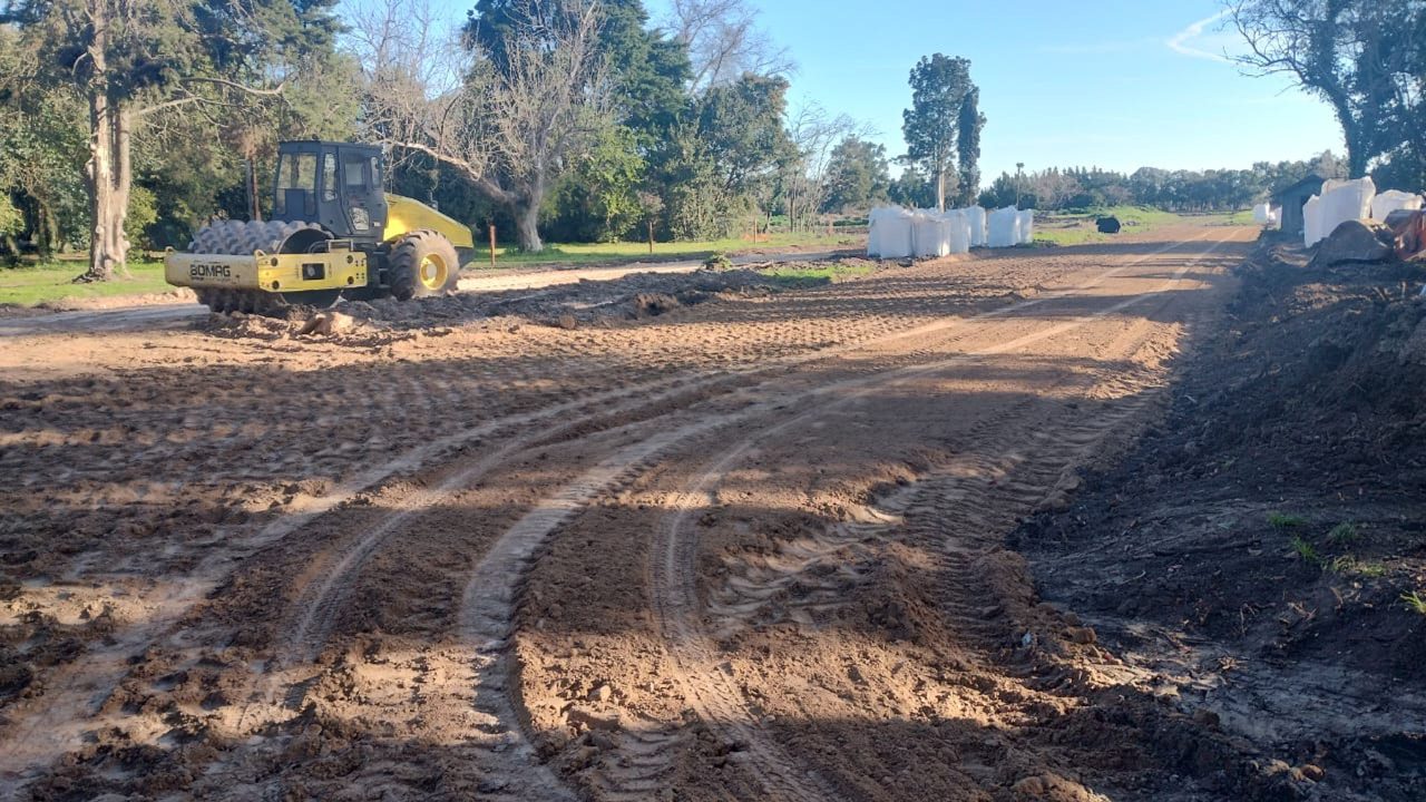 Barrio Felicitas Domselaar