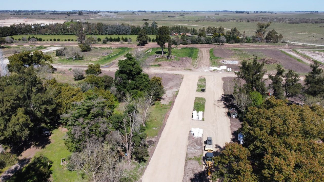 Barrio Felicitas Domselaar
